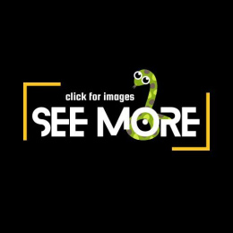 BP Combo 8 Axa/Clown Project  3M 2F