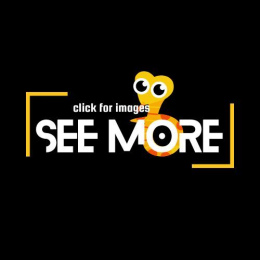 BP Combo 5 Spider/Snow Project 2M 2F